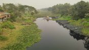 মিল কারখানার বর্জের পানিতে ধ্বংস হচ্ছে ব্রহ্মপুত্র নদী