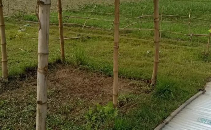 আড়াইহাজারে ঘর ভাংচুর ও গাছপালা কেটে সম্পত্তি জবরদখল