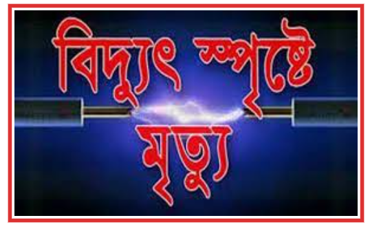 রূপগঞ্জে বিদ্যুৎপৃষ্ট হয়ে ২ শ্রমিকের মৃত্যু