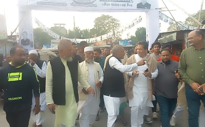 সোনারগাঁয়ে নির্বাচনী প্রচারণা: চারদিকে শুধু নৌকা আর নৌকা