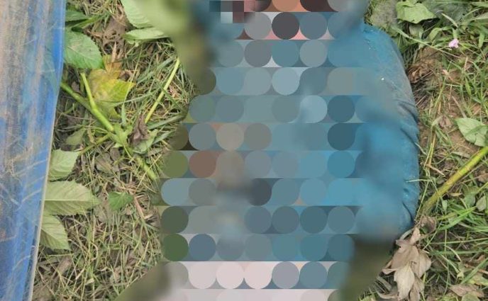 রূপগঞ্জে চোখ উপড়ানো অজ্ঞাত  যুবকের লাশ উদ্ধার
