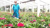 বন্দরে ফুলের গ্রাম হিসেবে খ্যাত সাবদী সেঁজেছে বর্ণিল সাঁজে