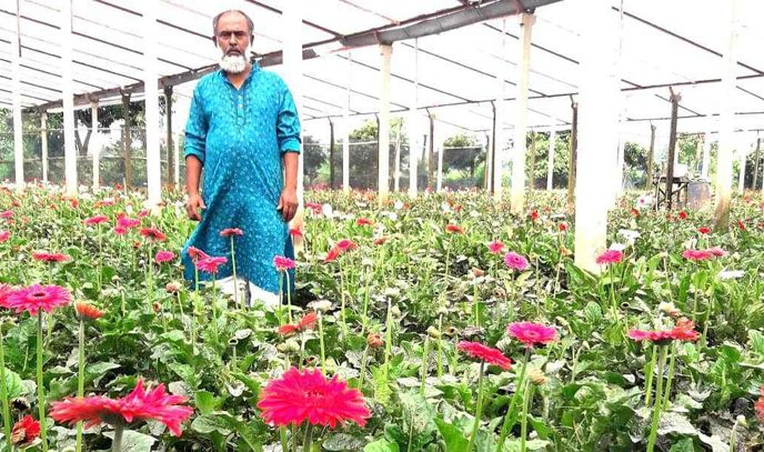 বন্দরে ফুলের গ্রাম হিসেবে খ্যাত সাবদী সেঁজেছে বর্ণিল সাঁজে