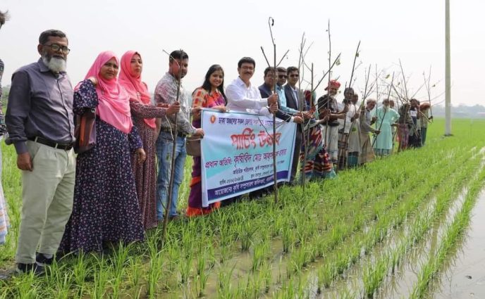 সোনারগাঁয়ের জামপুরে পাচিং উৎসবের উদ্ধোধন