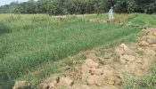 সাপাহারে জমি দখল চেষ্টার অভিযোগ