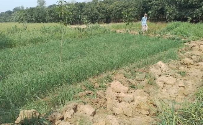 সাপাহারে জমি দখল চেষ্টার অভিযোগ