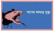 আড়াইহাজারে সাপের কামড়ে শিশুর মৃত্যু