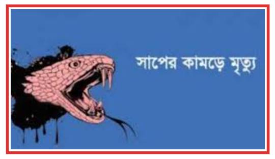আড়াইহাজারে সাপের কামড়ে শিশুর মৃত্যু