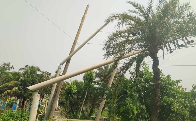 রূপগঞ্জে কালবৈশাখীর তাণ্ডবে বাড়িঘর বিধ্বস্ত,গাছপালা ও ফসলের ব্যাপক ক্ষতি
