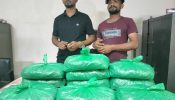সিদ্ধিরগঞ্জে গাঁজাসহ দুই মাদক কারবারি আটক