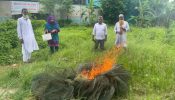 আড়াইহাজারে নিষিদ্ধ চায়না দুয়ারী   জাল জব্দ