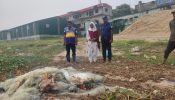 সোনারগাঁওয়ে মেঘনায় অভিযানে ৮০ হাজার মিটার কারেন্ট জাল জব্দ