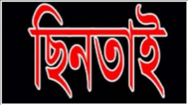 আড়াইহাজারে রাস্তায় গাছ ফেলে ছিনতাই,আহত ২