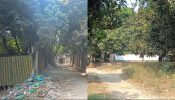 সোনারগাঁয়ে নোয়াব মিয়ার বাগ এখন মাদকের হট স্পষ্ট, কী বলছেন স্থানীয়রা