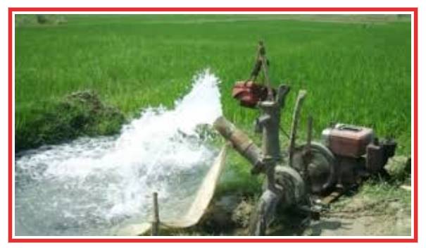 আড়াইহাজারে সেচ মটরে জড়িয়ে শিশুর মৃত্যু