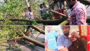 আড়াইহাজারে গাছ কাটার সময় চাপা পড়ে আহত ২, একজনের অবস্থা গুরুতর