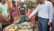 আড়াইহাজারে মৎস্য দপ্তরের উদ্যোগে মোবাইল কোর্ট পরিচালিত 