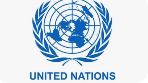 জাতিসংঘের মহাসচিব বরাবর খোলা চিঠি