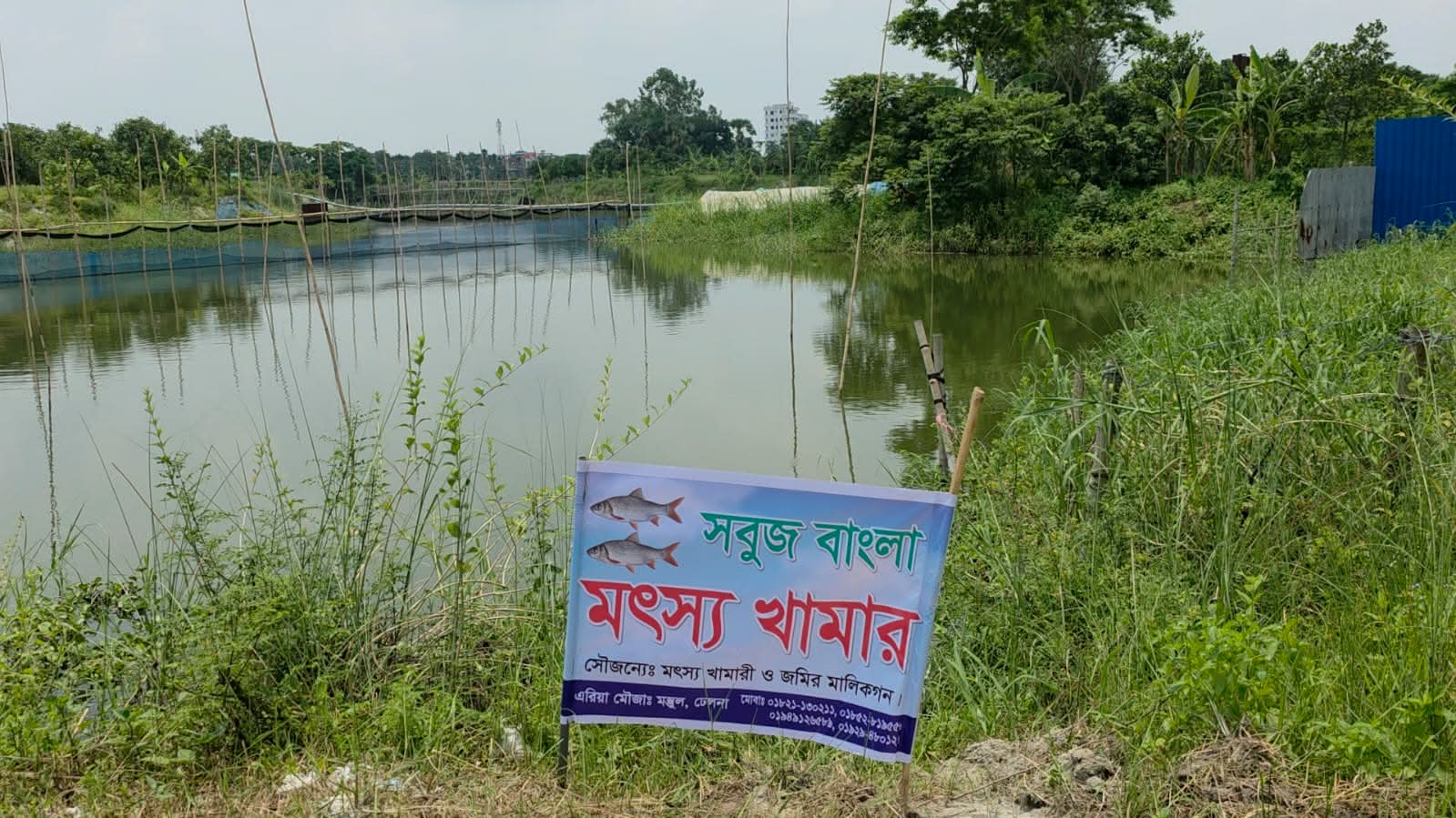 মাছের খামারে চাঁদা দাবি, ব্যবসায়ীকে প্রাণনাশের হুমকি