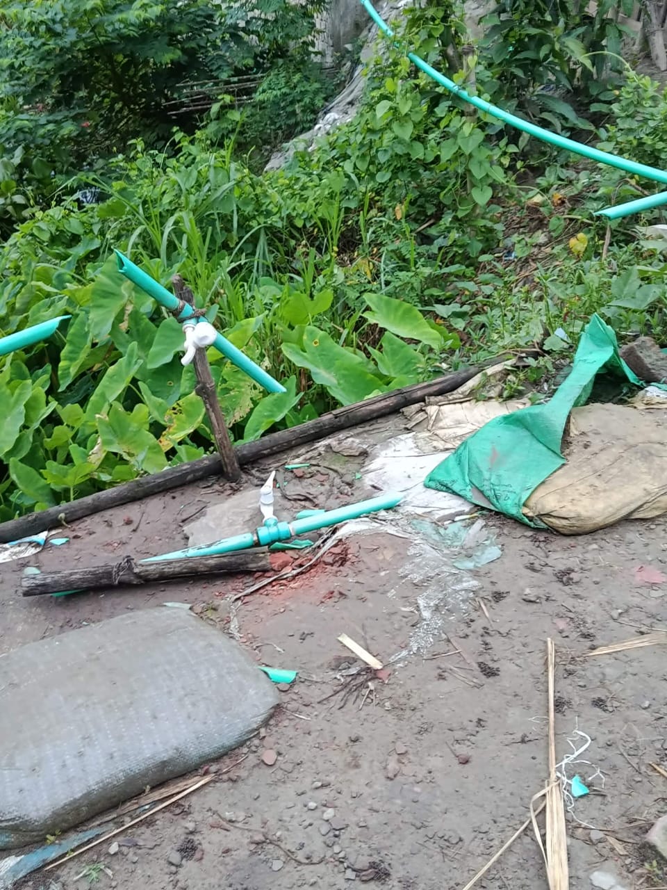 আড়াইহাজারে মস‌জি‌দের অজুখানা ভাঙচুর, মুসল্লিকে হত্যাচেষ্টার অভিযোগ