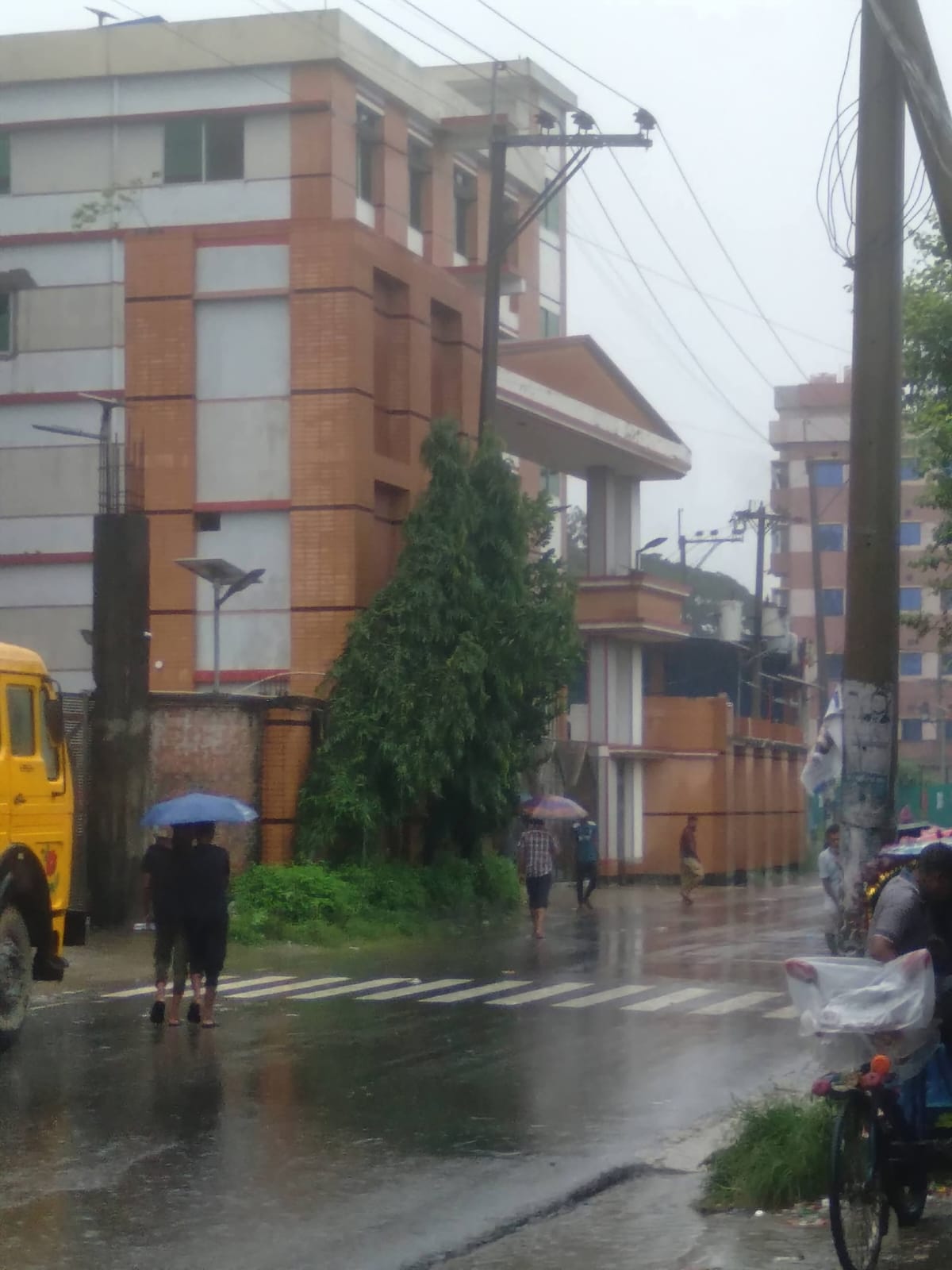 বোনাফাইড মশারি কারখানার বিরুদ্ধে শ্রম আইন লঙ্ঘনের অভিযোগ