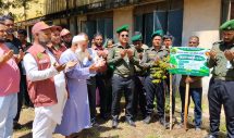 আড়াইহাজারে আনসার-ভিডিপির বৃক্ষরোপণ কর্মসূচির উদ্বোধন