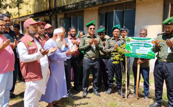 আড়াইহাজারে আনসার-ভিডিপির বৃক্ষরোপণ কর্মসূচির উদ্বোধন